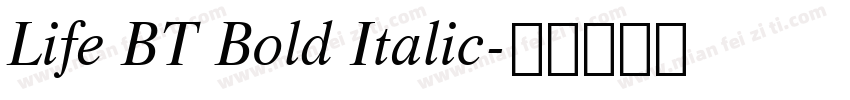 Life BT Bold Italic字体转换